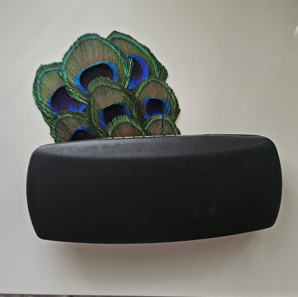Primary eyeglasses case - Picture 2 of 3